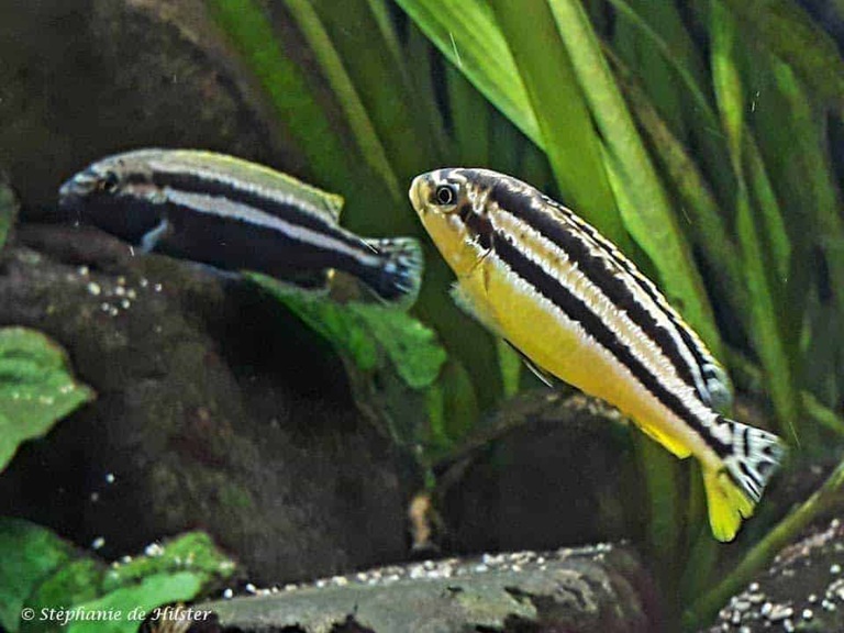 gallery-9728-for-101840