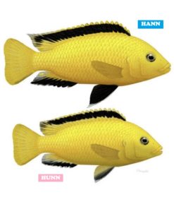 gallery-9733-for-100126