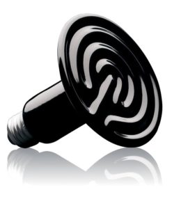 gallery-9737-for-015561220477