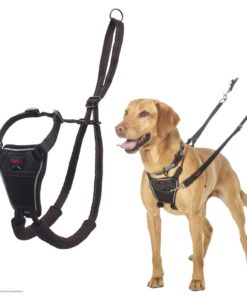 Halti No Pull Sele M