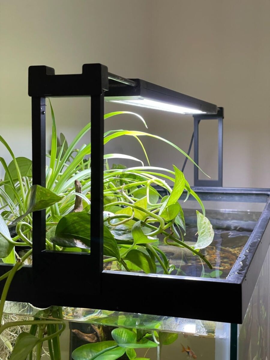 Lys, varme og tilbehør