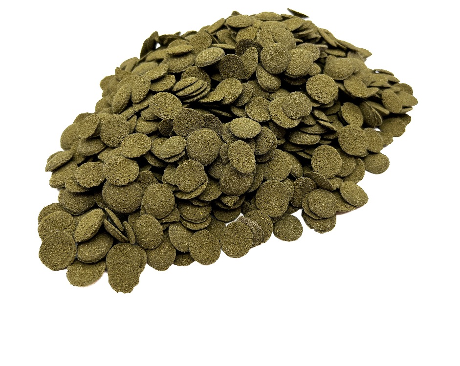 gallery-9828-for-042055213165