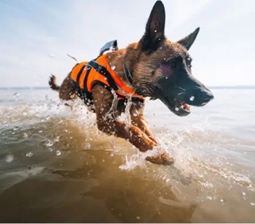 Flyte- og Redningsvester