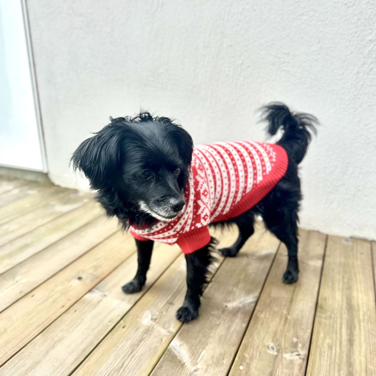 gallery-8565-for-7090055720254