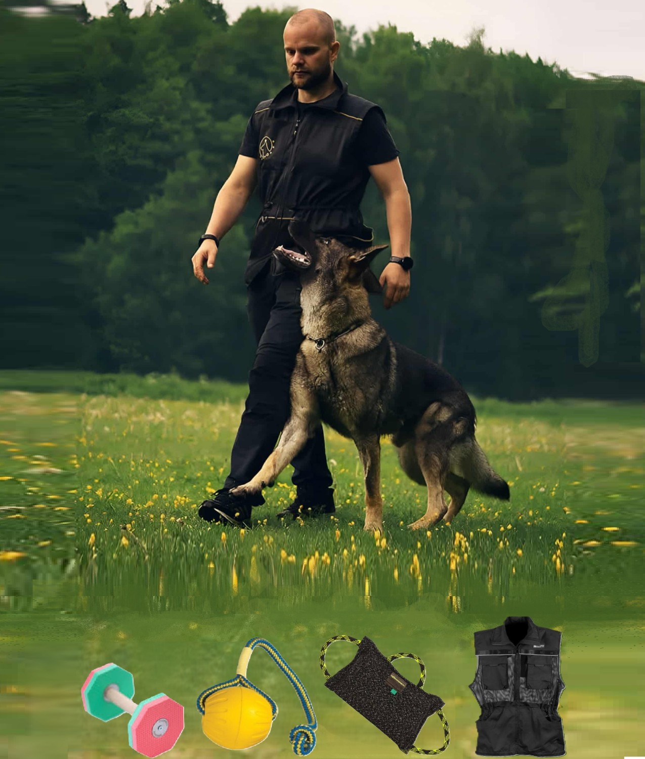 Trening og brukshund