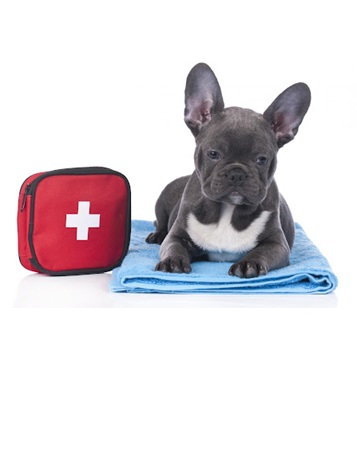 Sår, kløe og hudirritasjon