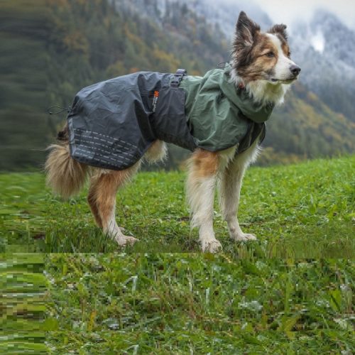 gallery-9981-for-7071652296557