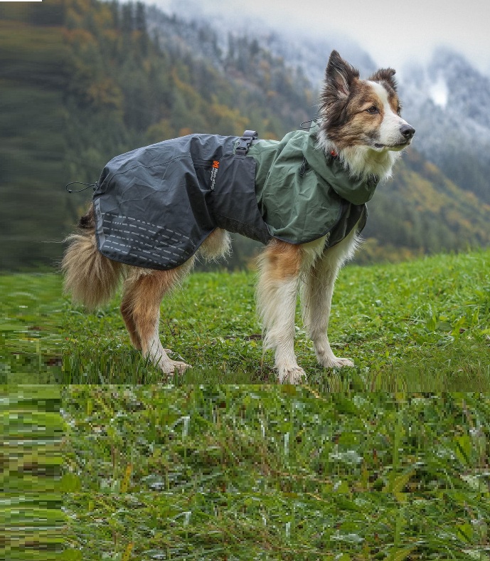 Fjord Raincoat