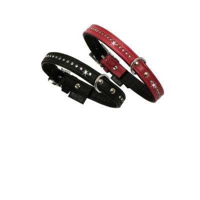 gallery-9989-for-4016598678909