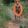 gallery-10003-for-7393603610206
