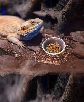 Fór og kosttilskudd