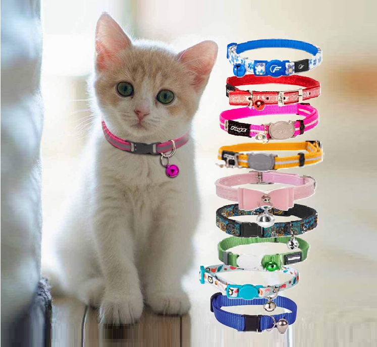 Halsbånd, sele og kobbel