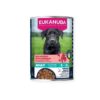 EUK WET, Adult Dogs, Beef With Pumpkin 400g.