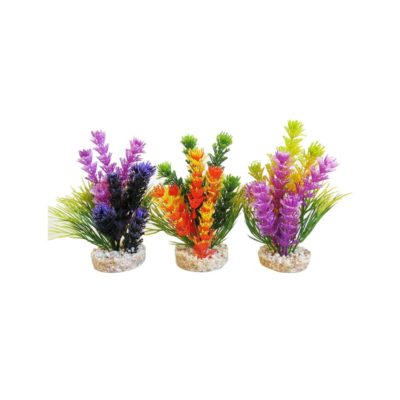 MAGIC FIESTA Sydeco, Plastplante, mix farger, 16cm.