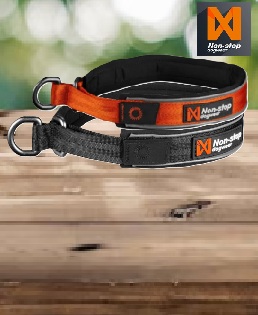 NS Cruise Collar