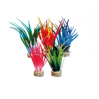 PAPYRUS PLANT Sydeco, M, 15cm.