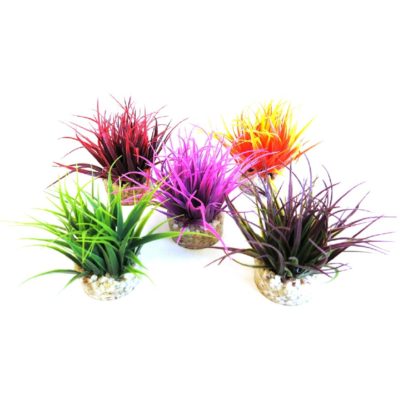 NANO MOSS Sydeco, 8cm. Mix farger