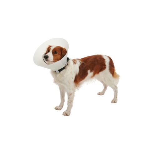 BUSTER Classic krave transparent, 25cm