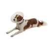 BUSTER Classic krave transparent, 35cm