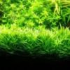 gallery-10097-for-5703249040206