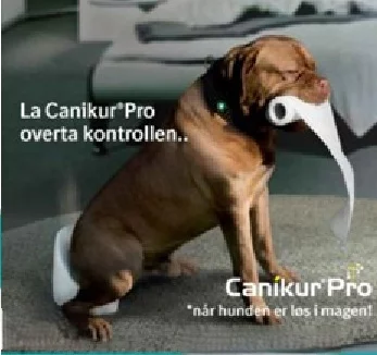 gallery-10126-for-5703655002249