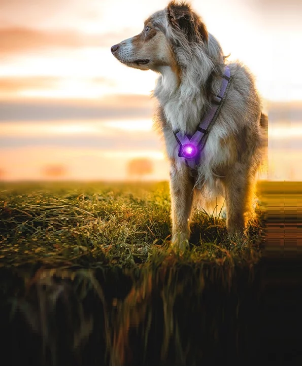 gallery-10140-for-5710482001062