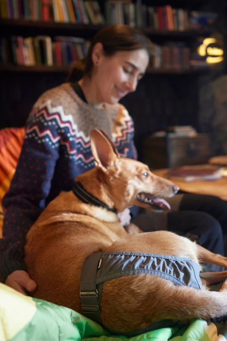 gallery-10155-for-6410329345692