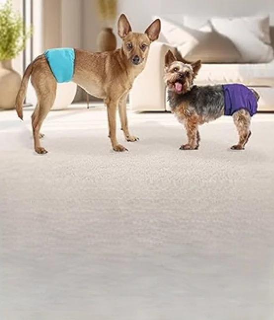 Tispetruse og mavebånd