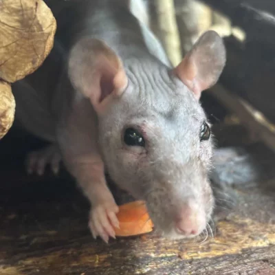 gallery-10171-for-100774