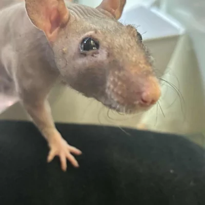 gallery-10172-for-100774