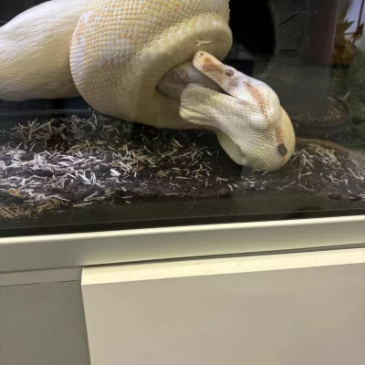 gallery-10173-for-100661