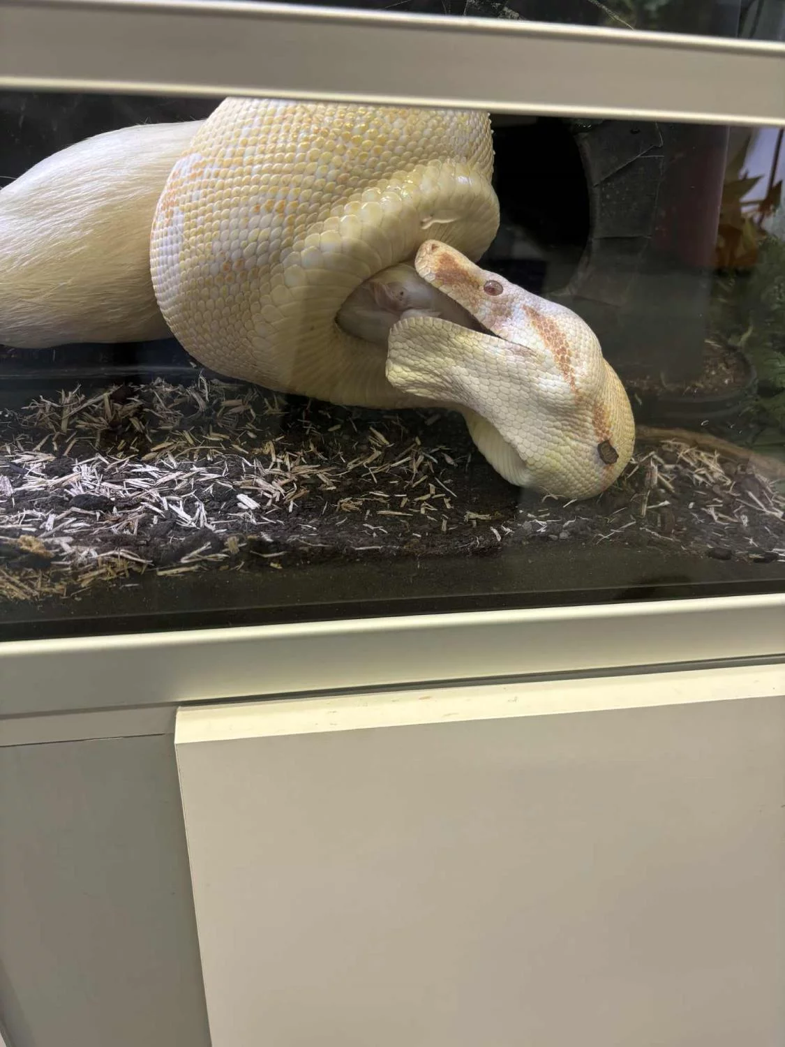 gallery-10173-for-100661