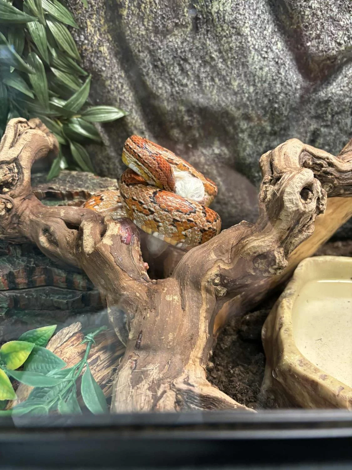 gallery-10174-for-100580