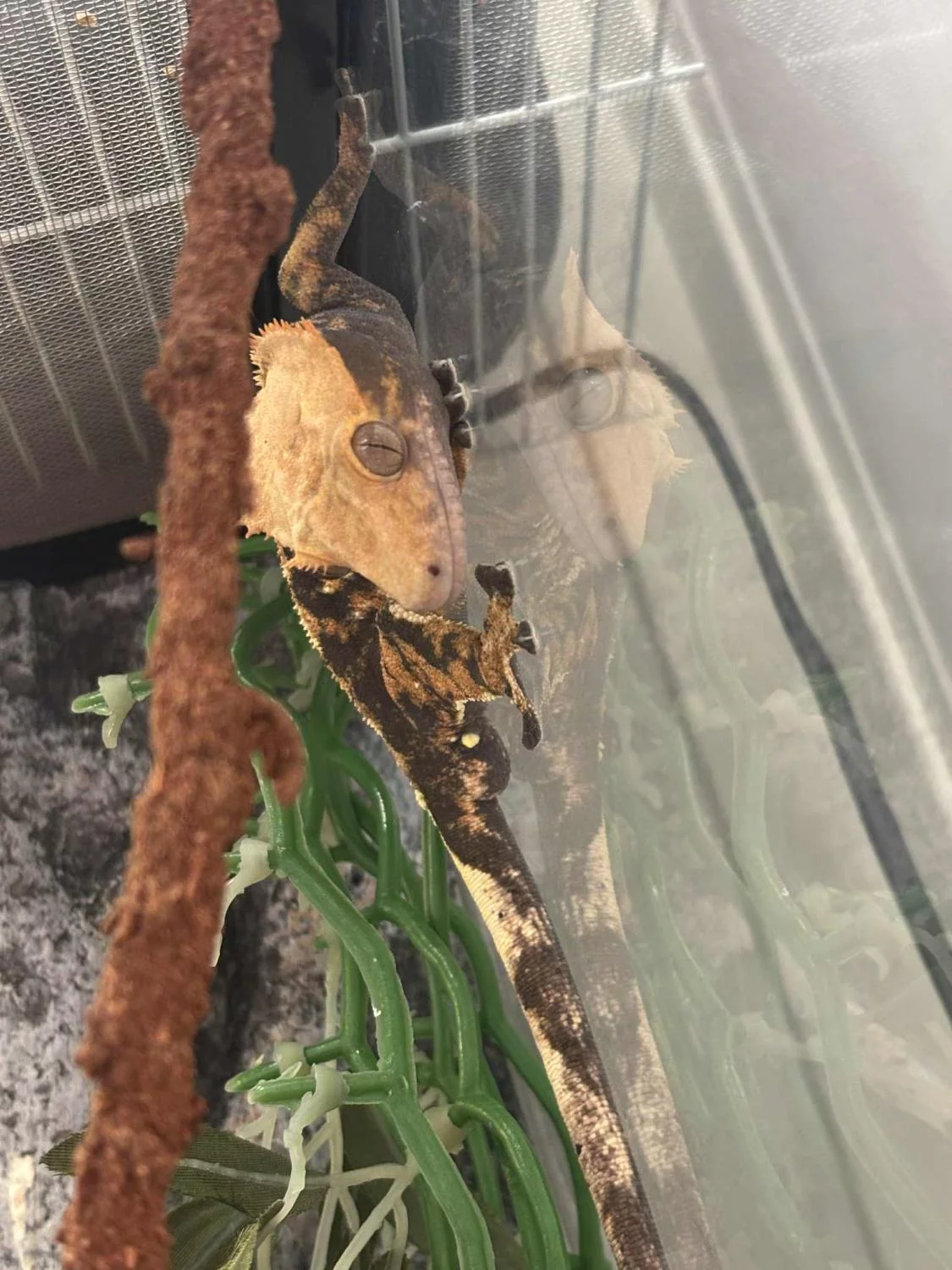 gallery-10176-for-100579