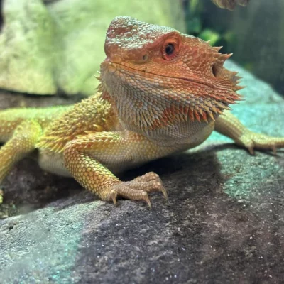 gallery-10177-for-100572