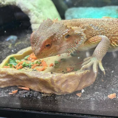 gallery-10178-for-100572