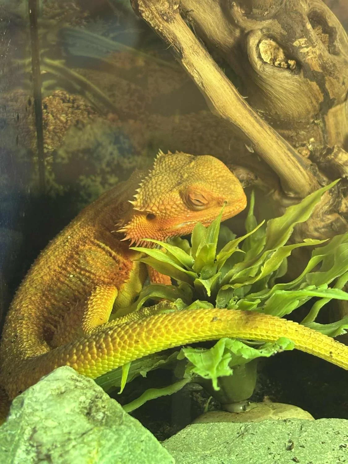 gallery-10179-for-101098