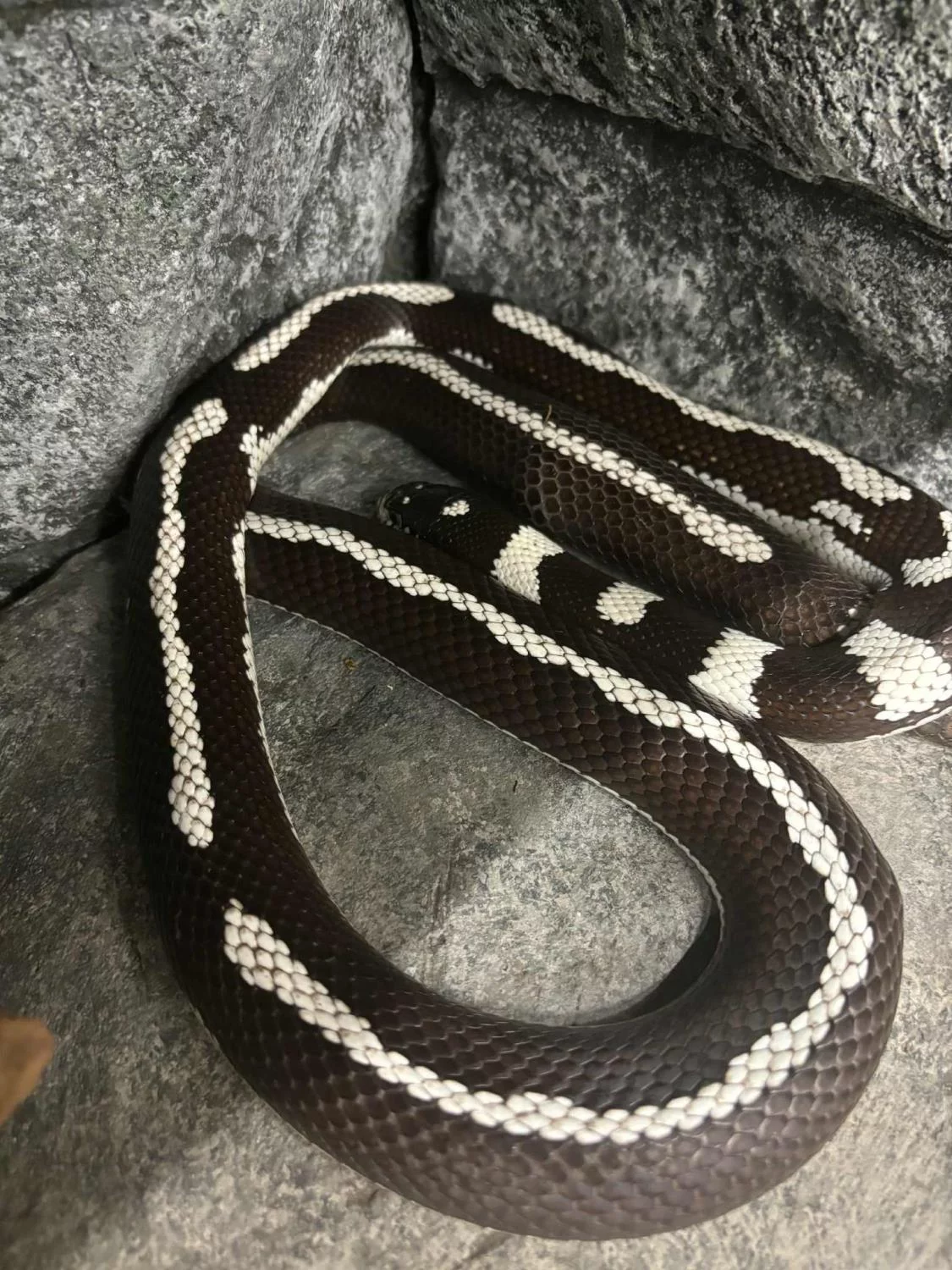 gallery-10180-for-101769