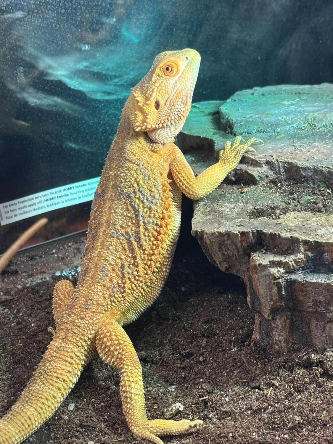 gallery-10181-for-101177