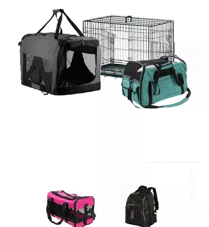 Bur, bag og ryggsekk