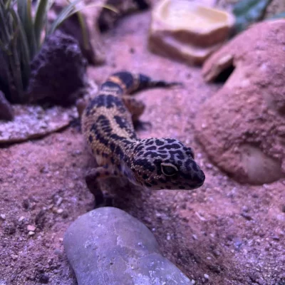 gallery-10215-for-101420