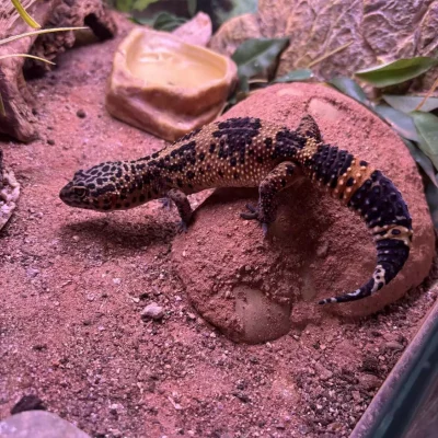 gallery-10216-for-101420