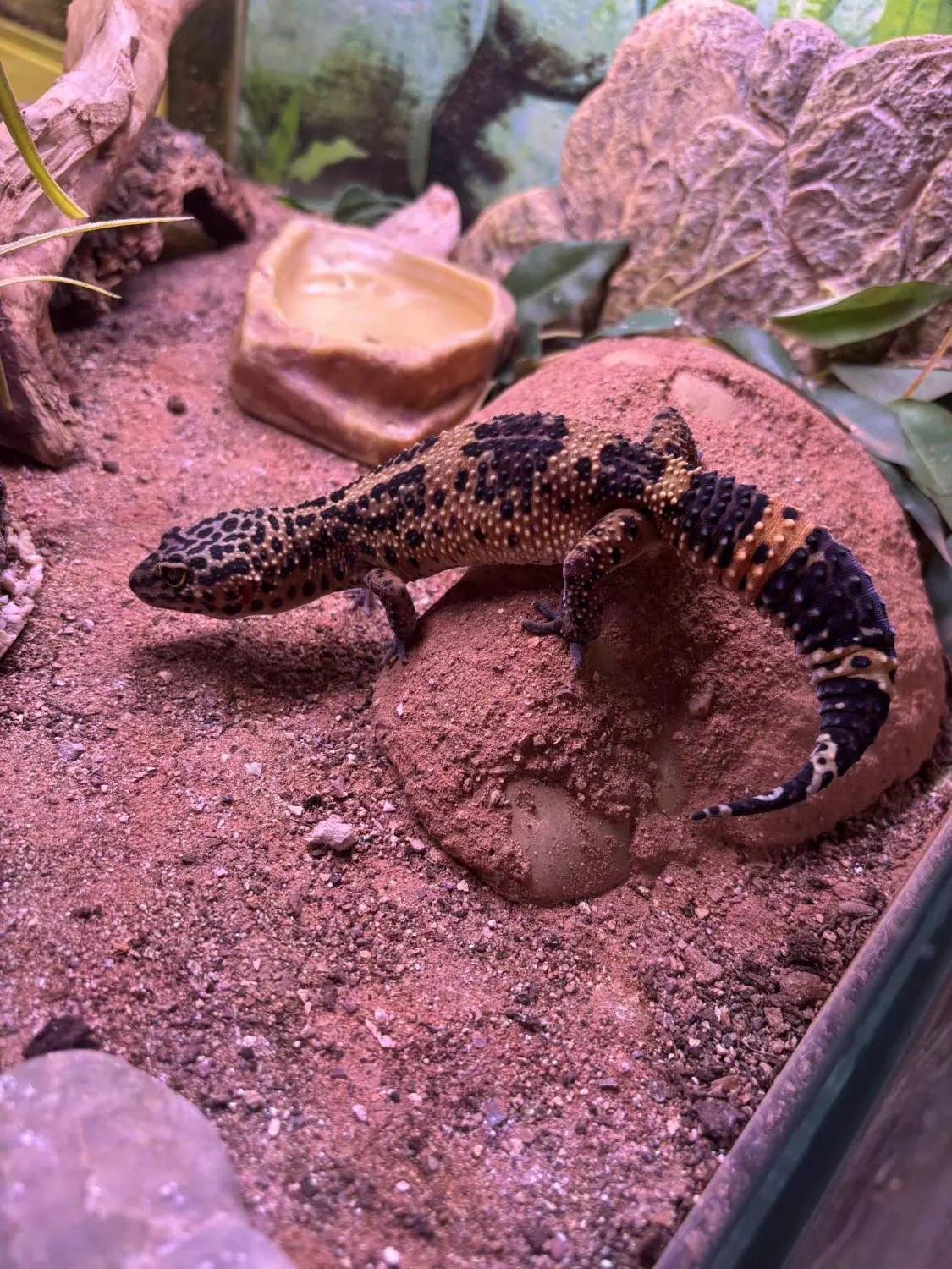 gallery-10216-for-101420