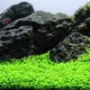 gallery-10265-for-8715897258428
