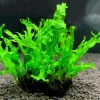 gallery-10270-for-5703249008206