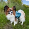 gallery-10290-for-7071652297592