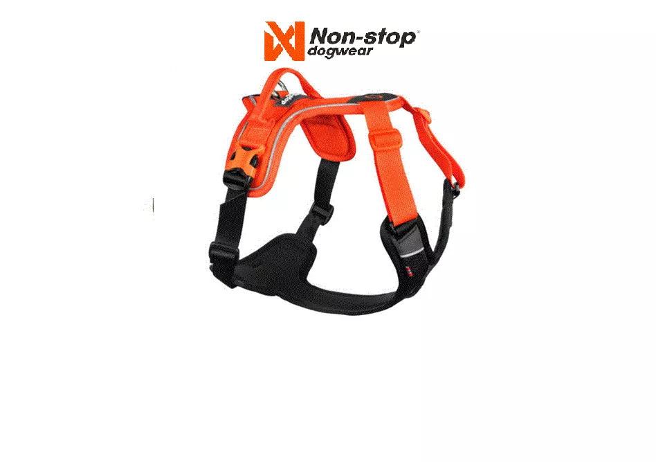 NS Ramble Harness