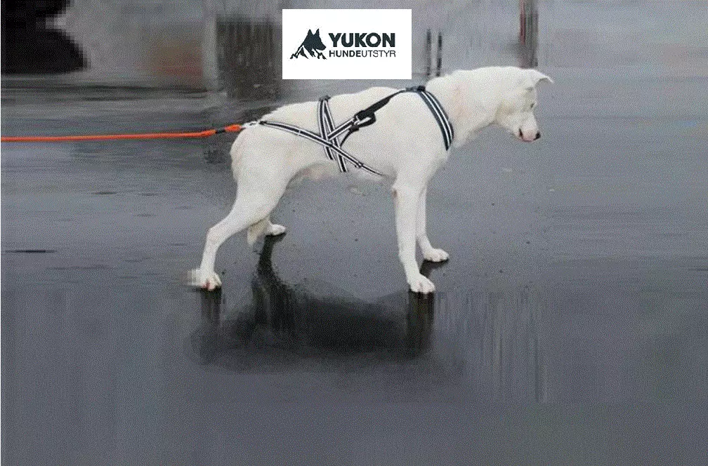 Yukon