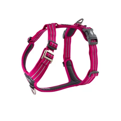 Dog C. Comfort Walk Air™ Harness Wild Rose XL