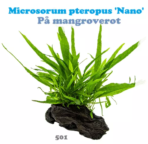 gallery-10421-for-100069